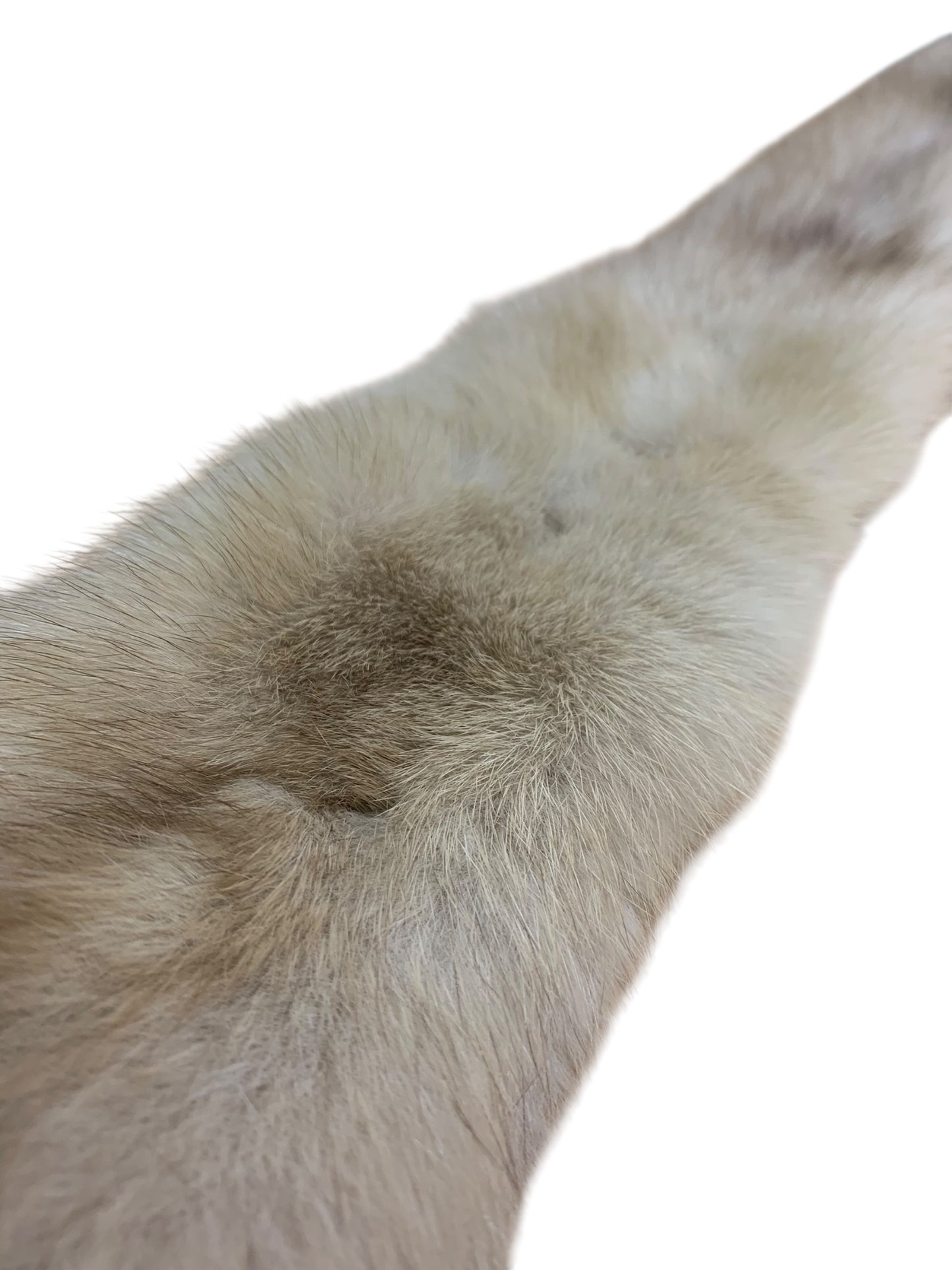 フォクシーブティック 30802 マフラー F ブラウン ロシアンセーブルファー IT0CMZ2CFK8J