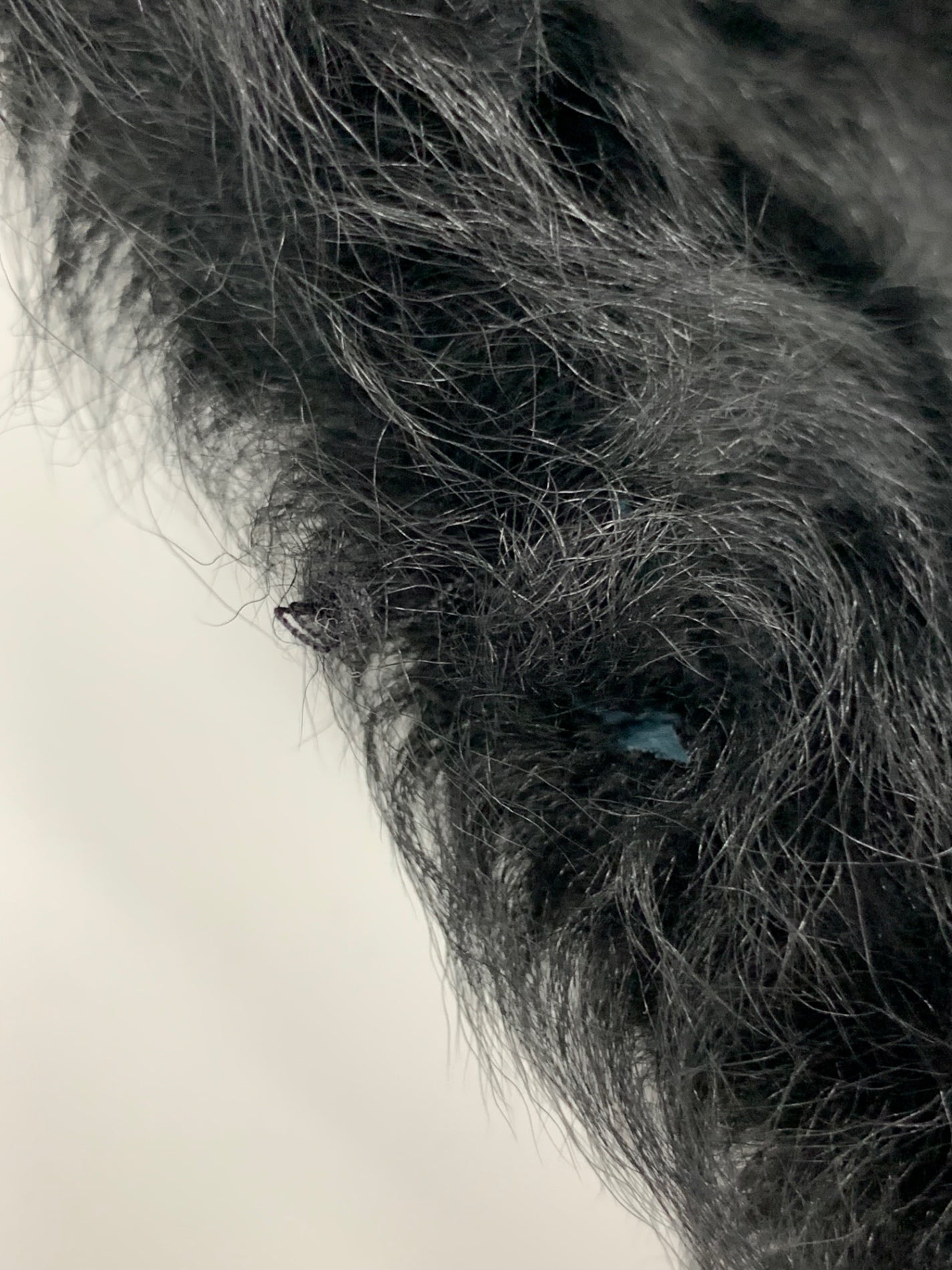 エムプルミエブラック 7150-012 ジャケット 36 ブラック ボア ITWL6SUA6RWQ