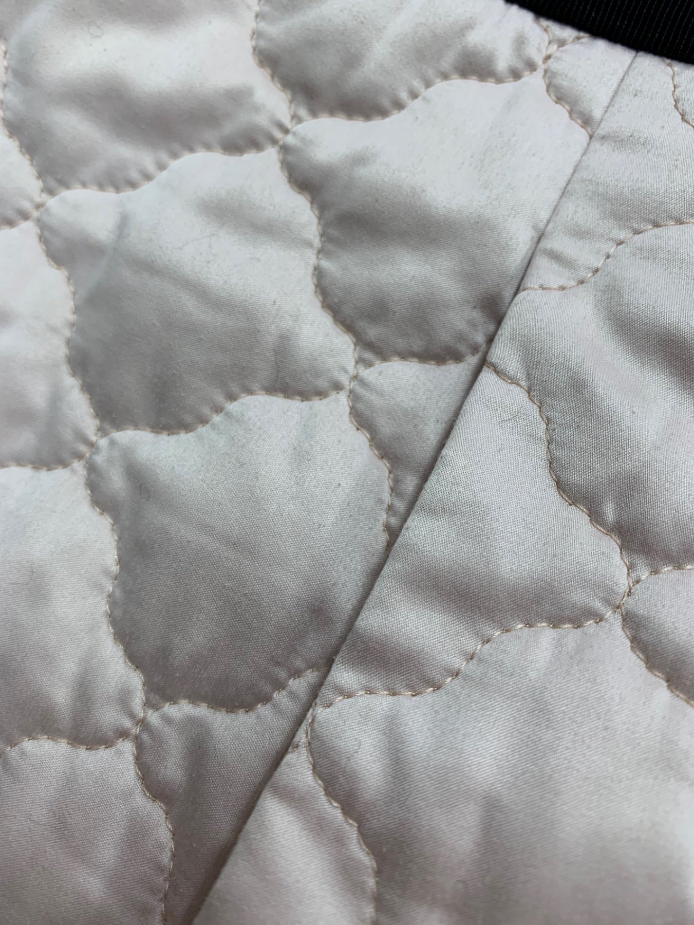 トゥービーシック W5A01 アウター 40 ピンク フード キルティング ITFTSP0MZCVE