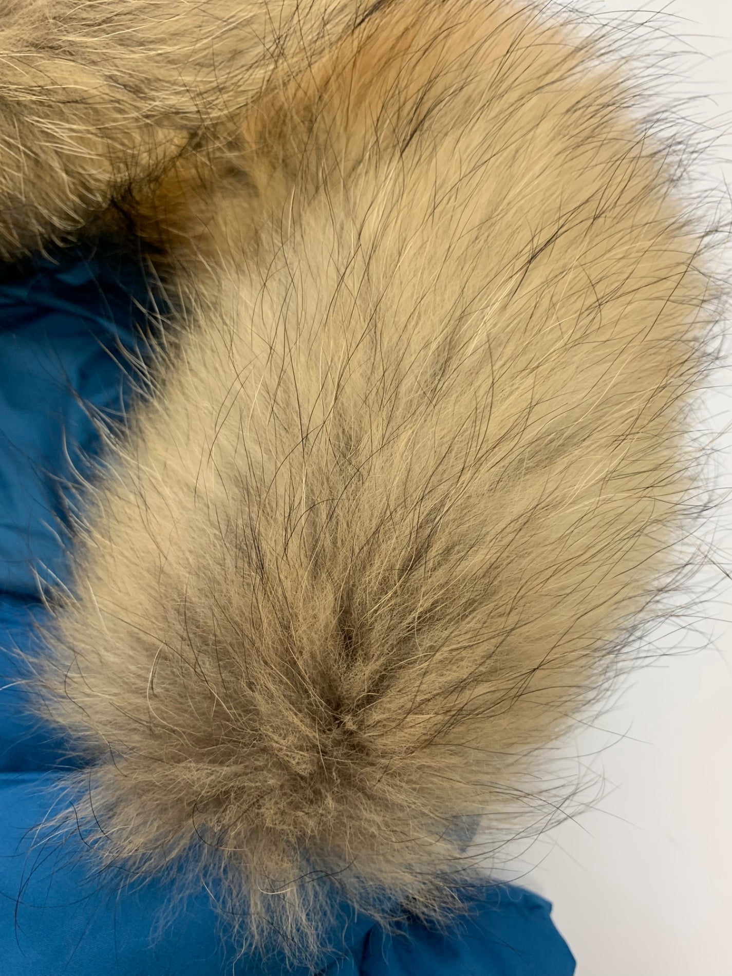 タトラス ザラガ LTAT22A4874-D ダウンベスト 03 ブルー ファーフード ITCV5CNB63QD