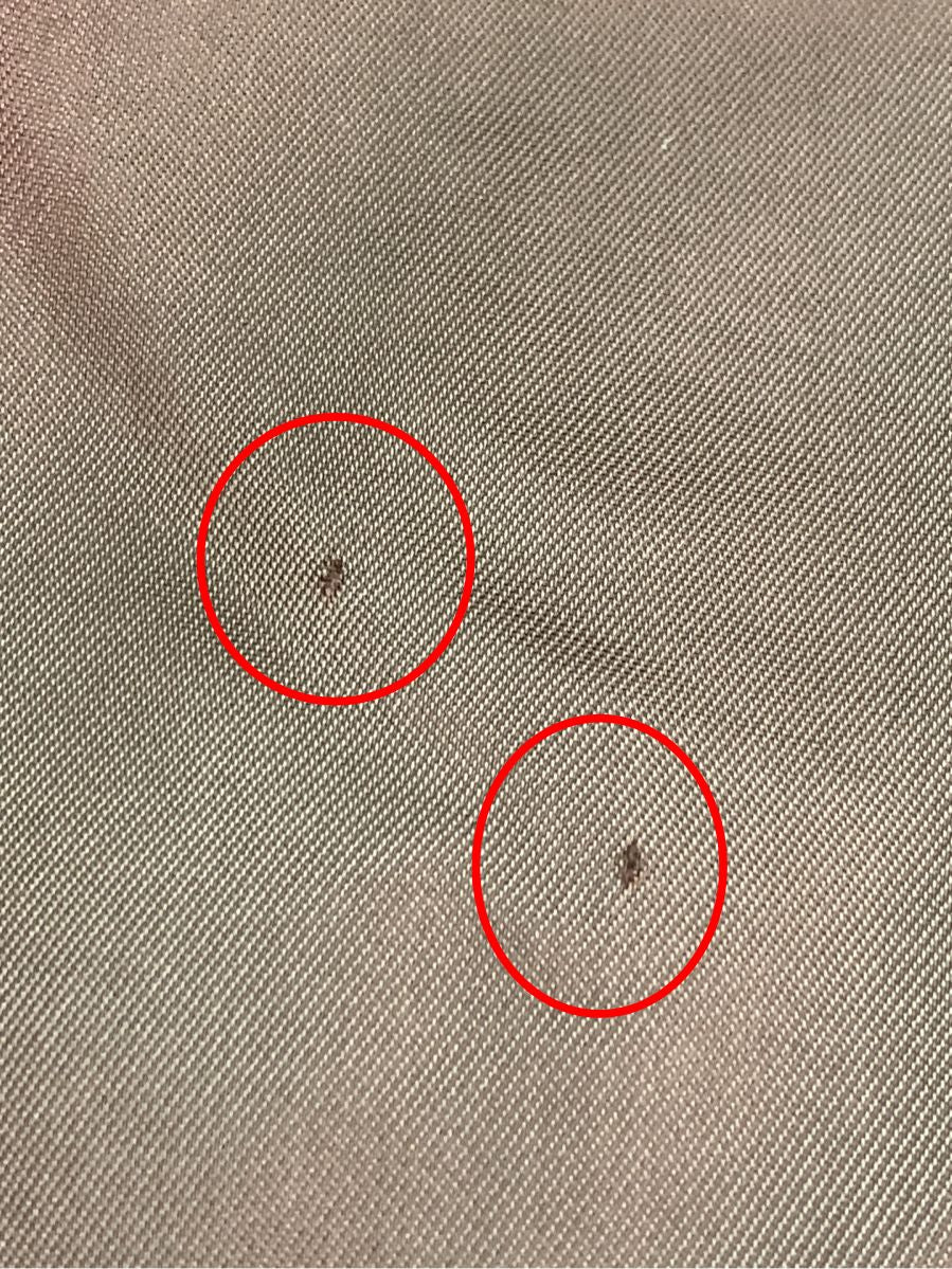 マックスマーラスタジオ コート ウールコート