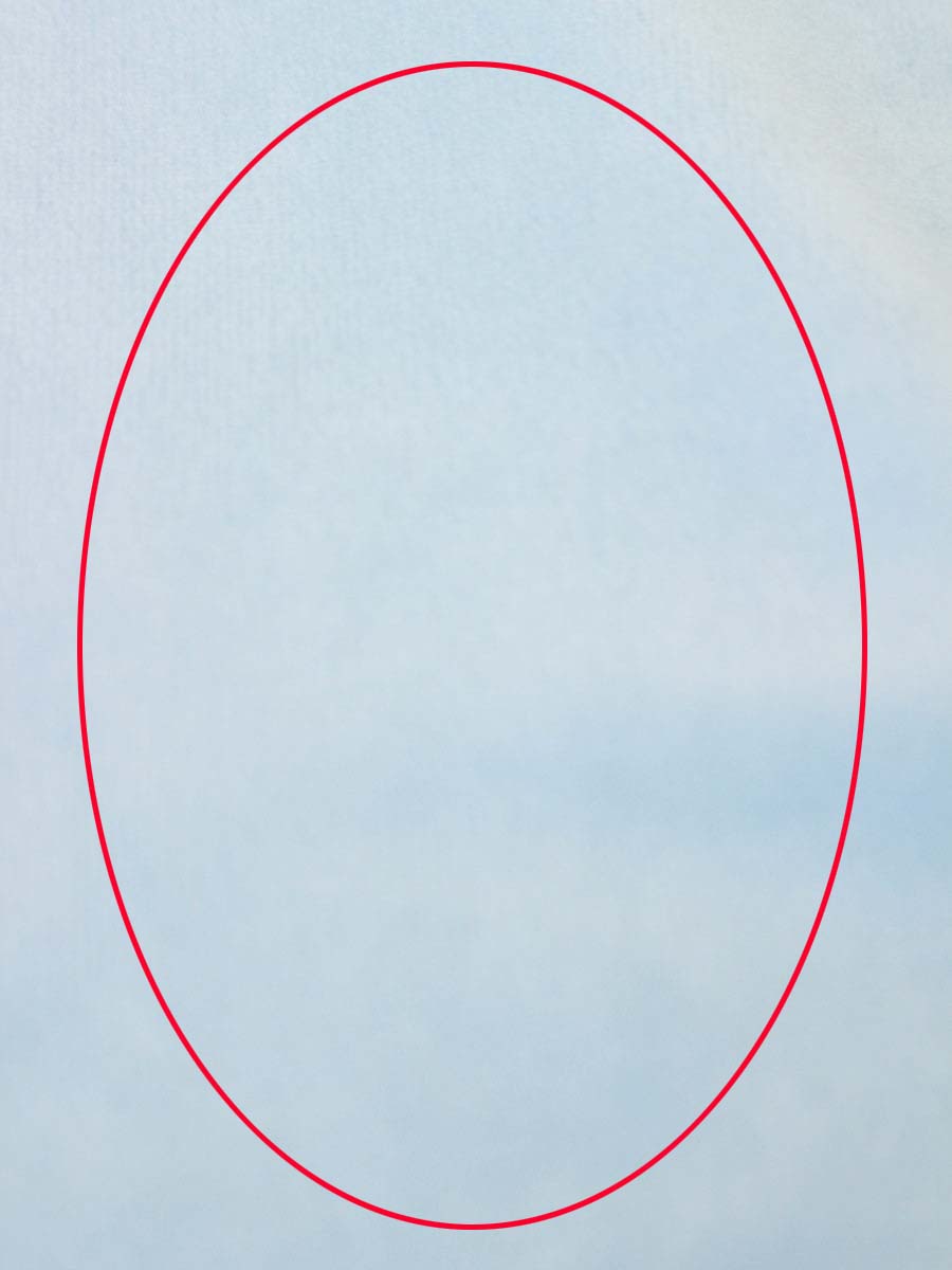 ルネ Tシャツ カットソー ストレッチ ベロア ワンポイント