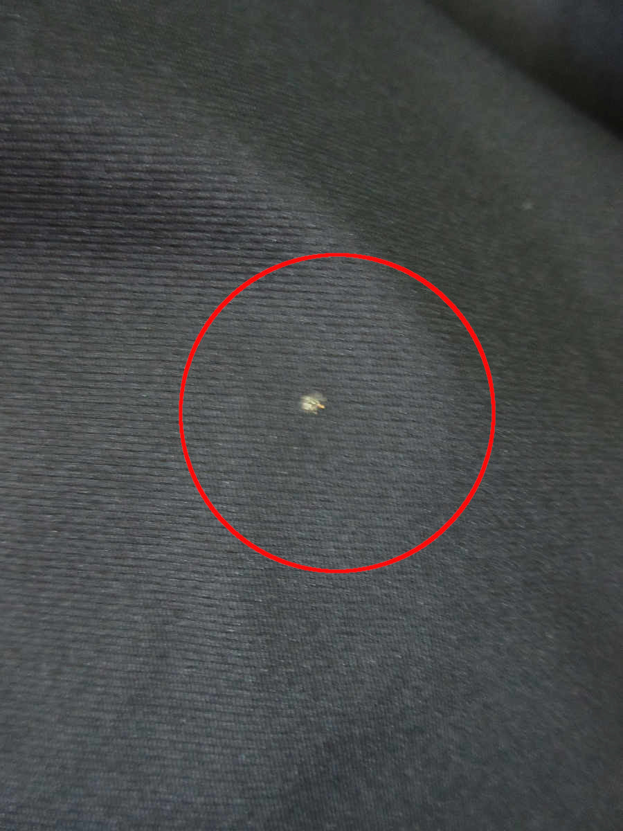 フォクシーニューヨーク ワンピース 26230 Milly Dress 2013年増産品