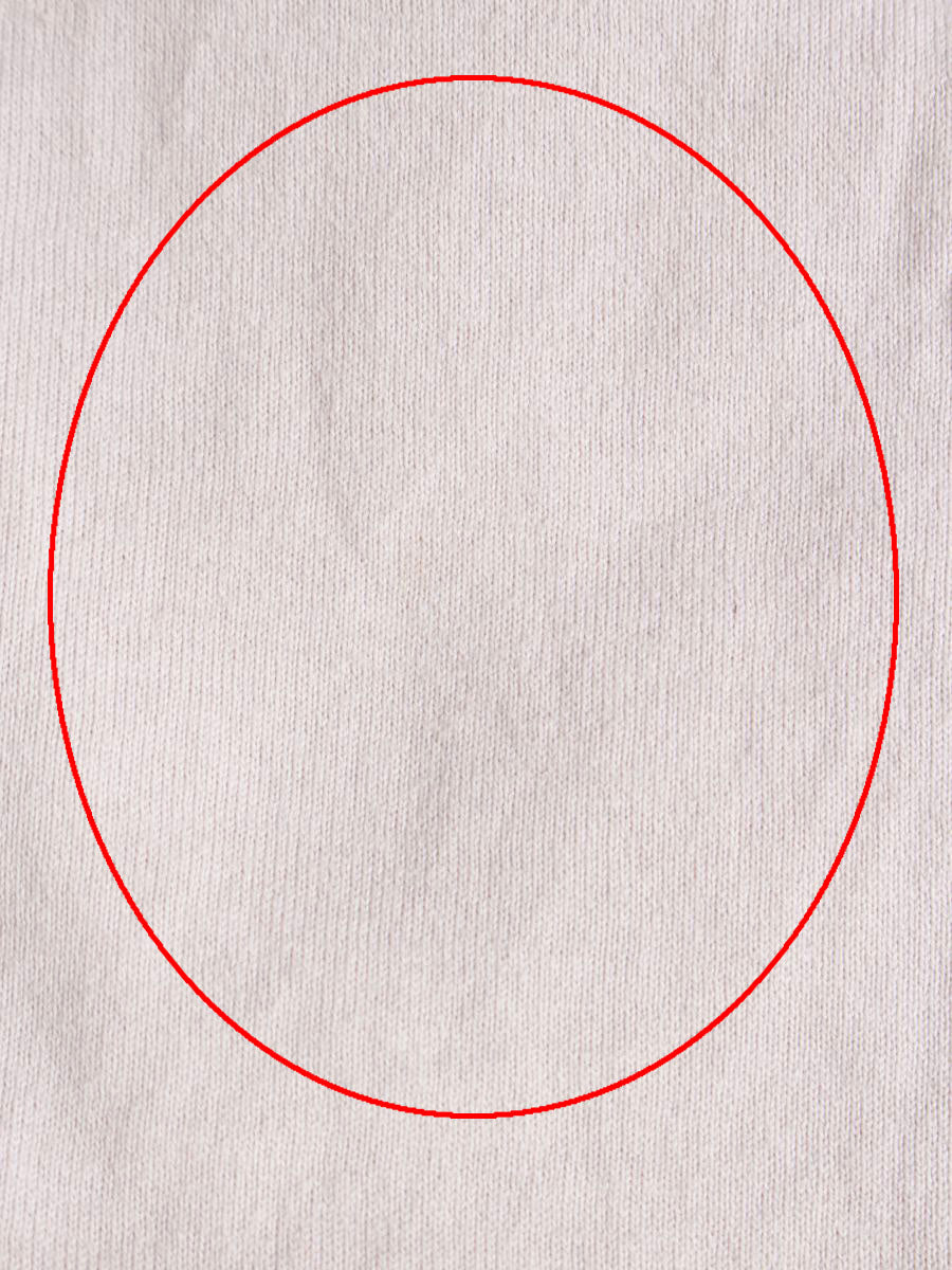 シャリーフ Tシャツ カットソー アップルモチーフ ワンポイント