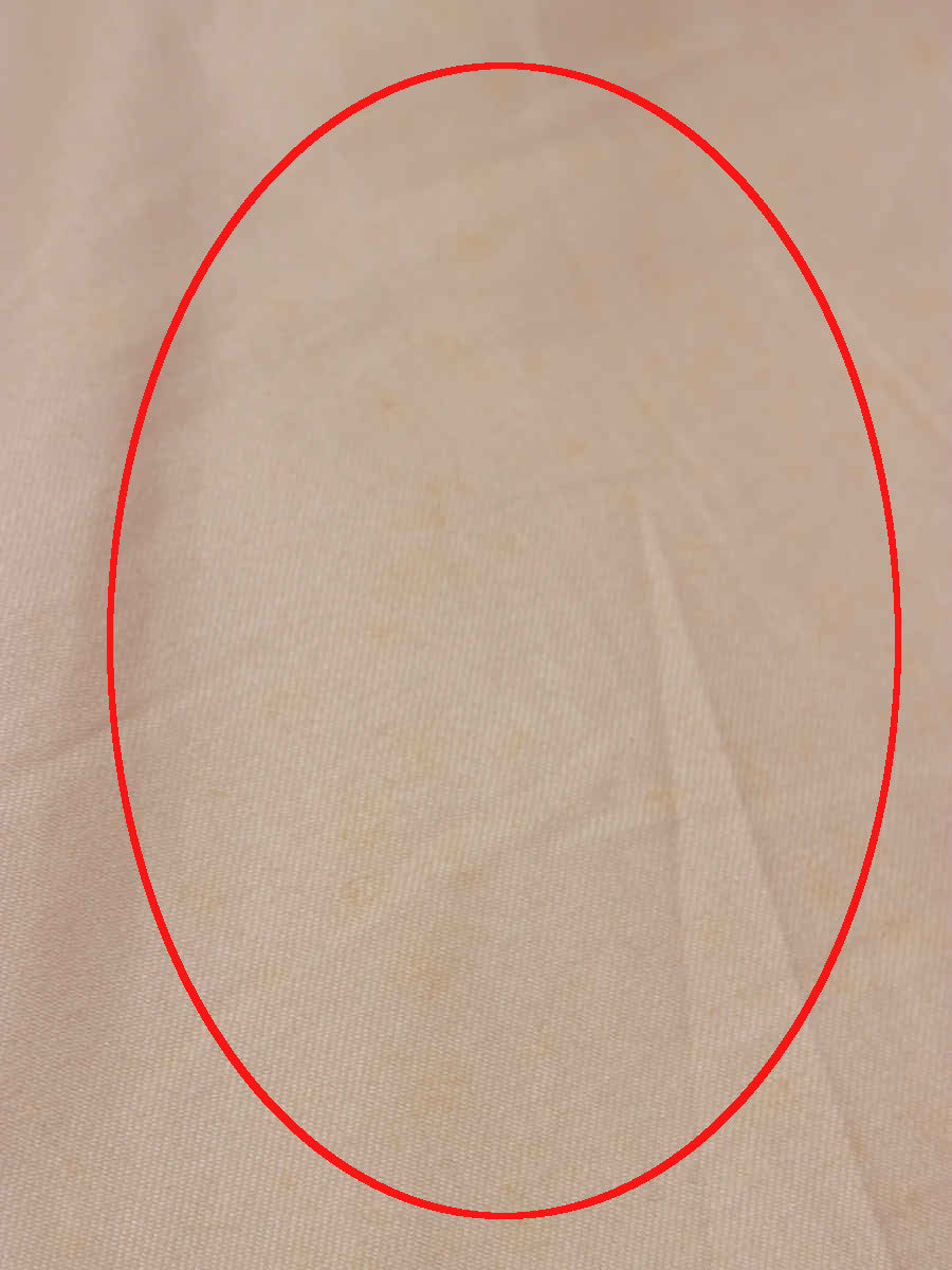 イッセイミヤケ パンツ ワイド