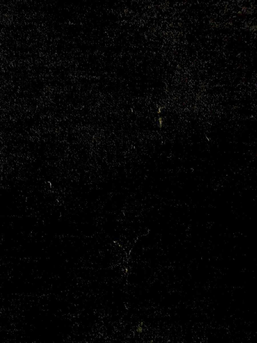 シビラ GBEAG-70290 ワンピース L ブラック ベロア ITNYP6Q2ODMI