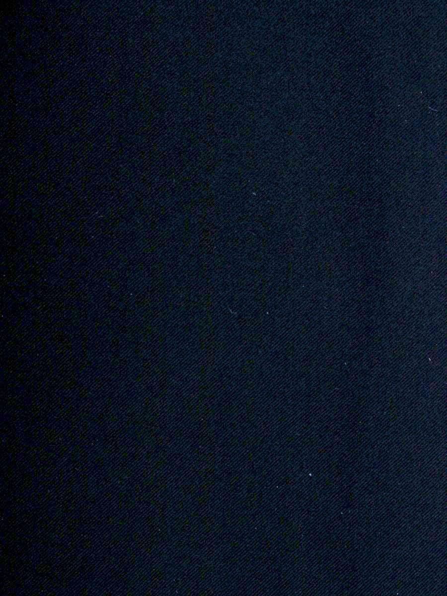 ルネ basic 5614060 スカート 36 ネイビー フラワーモチーフ タック ITNXP7IL32QO 【SALE】