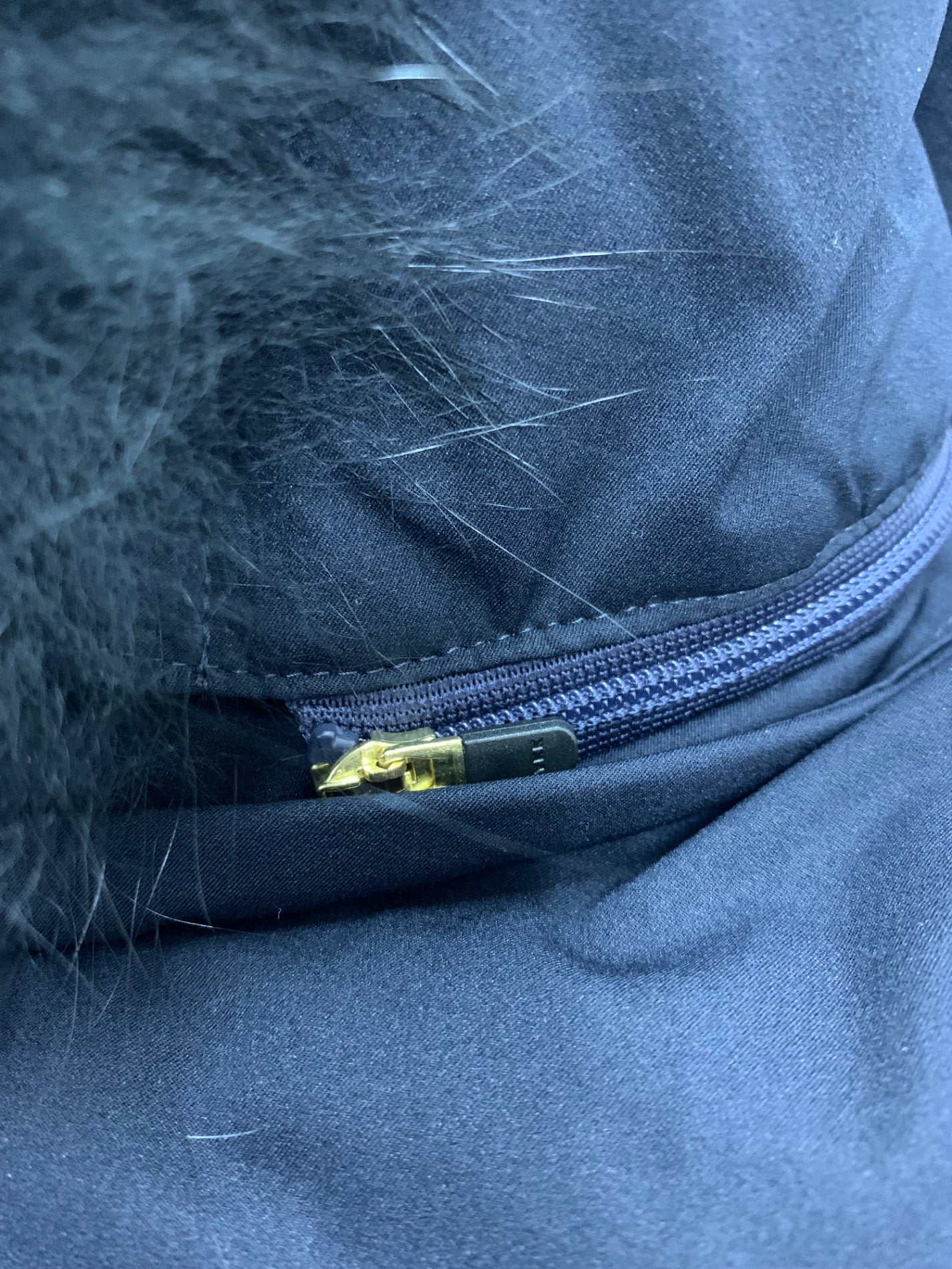 デミルクスビームス FOXファーフードダウン 68-19-0169-286 36 ネイビー ITR1K027ECKM