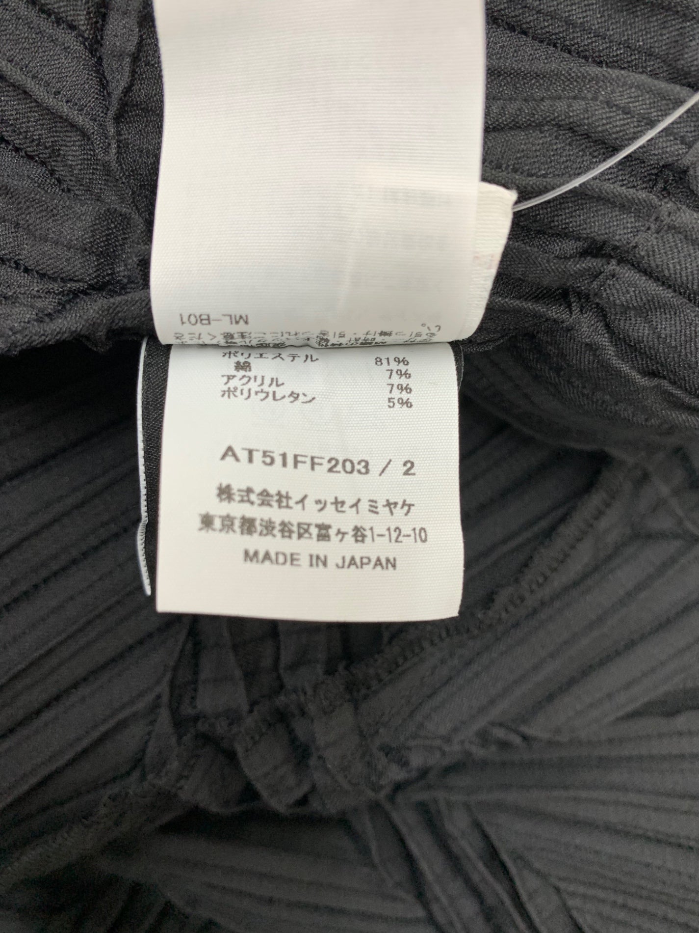 エイポックエイブルイッセイミヤケ TYPE-O 019 AT51FF203 パンツ 2 ブラック ITNIAPJ5RIZU