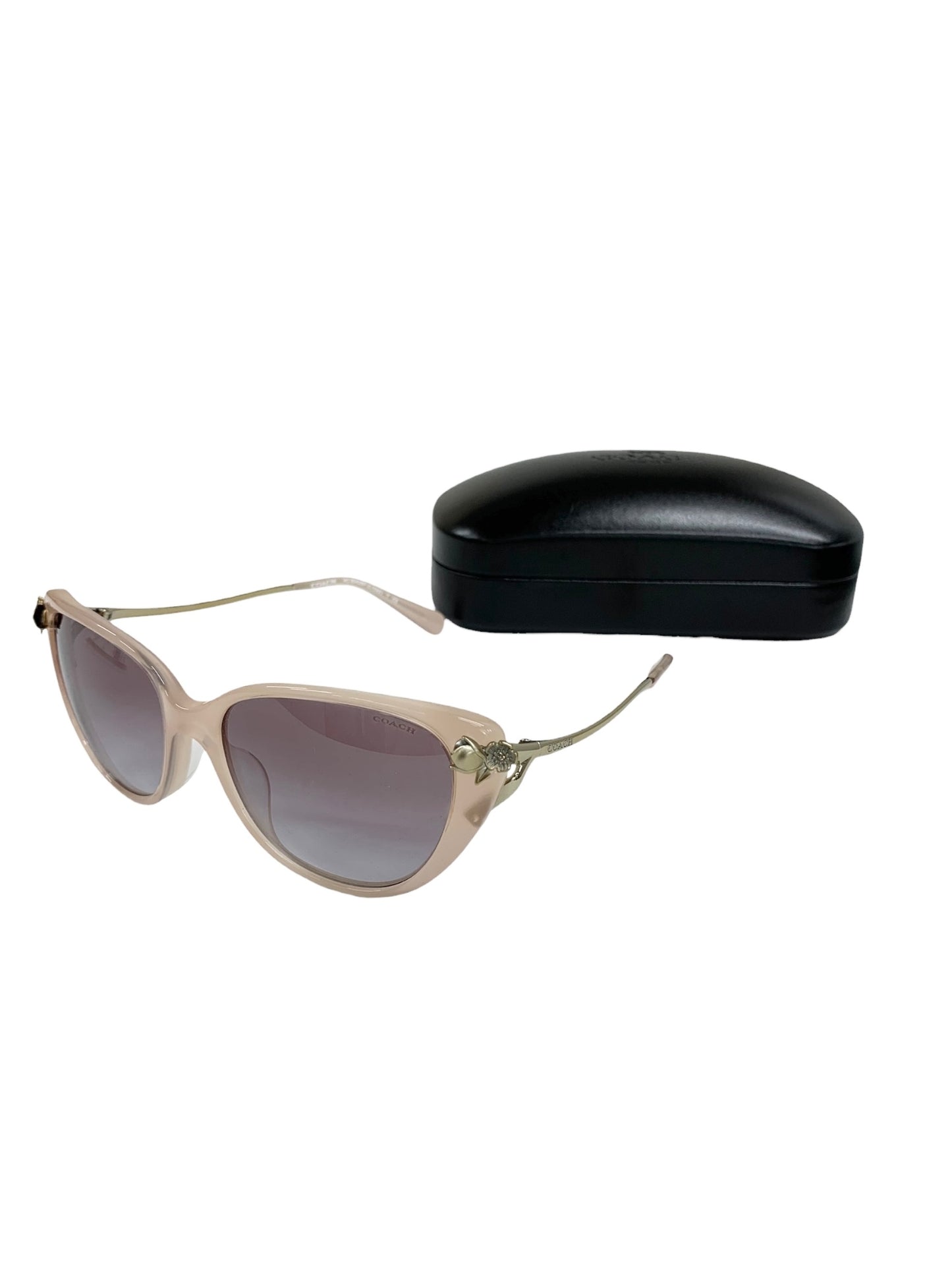 コーチ HC8242BF サングラス ピンク セルフレーム フルリム ウェリントン ITKDLAAE55JG 【SALE】