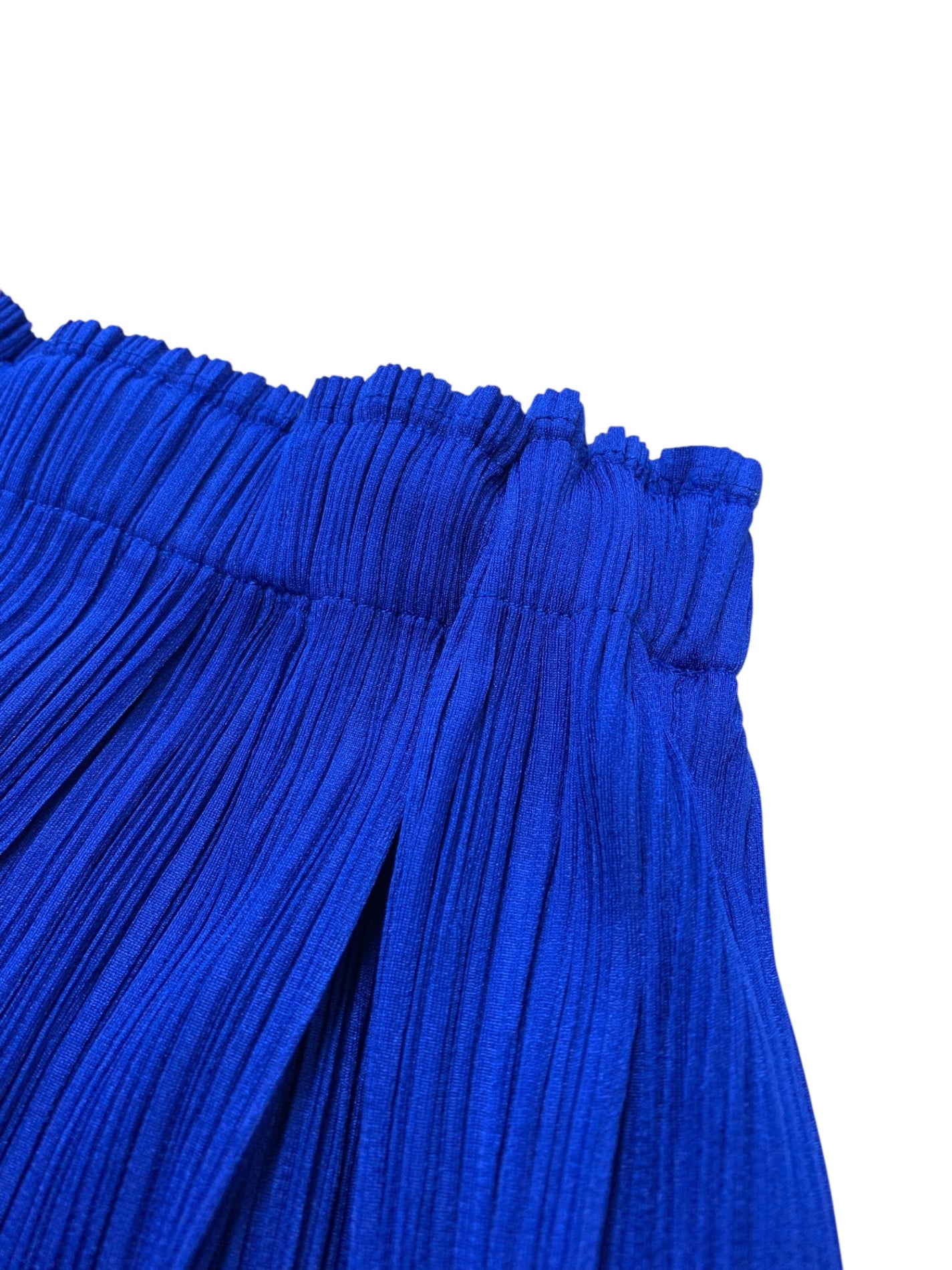 プリーツプリーズイッセイミヤケ PP21-JG508 スカート 3 ブルー | 中古