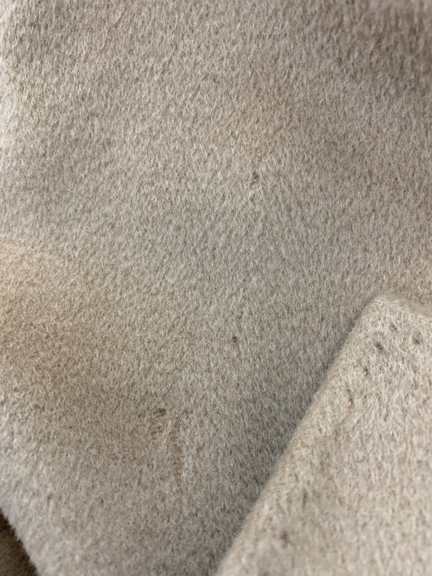 マックスマーラ コート 42 キャメル カシミヤ混 白タグ 50周年限定