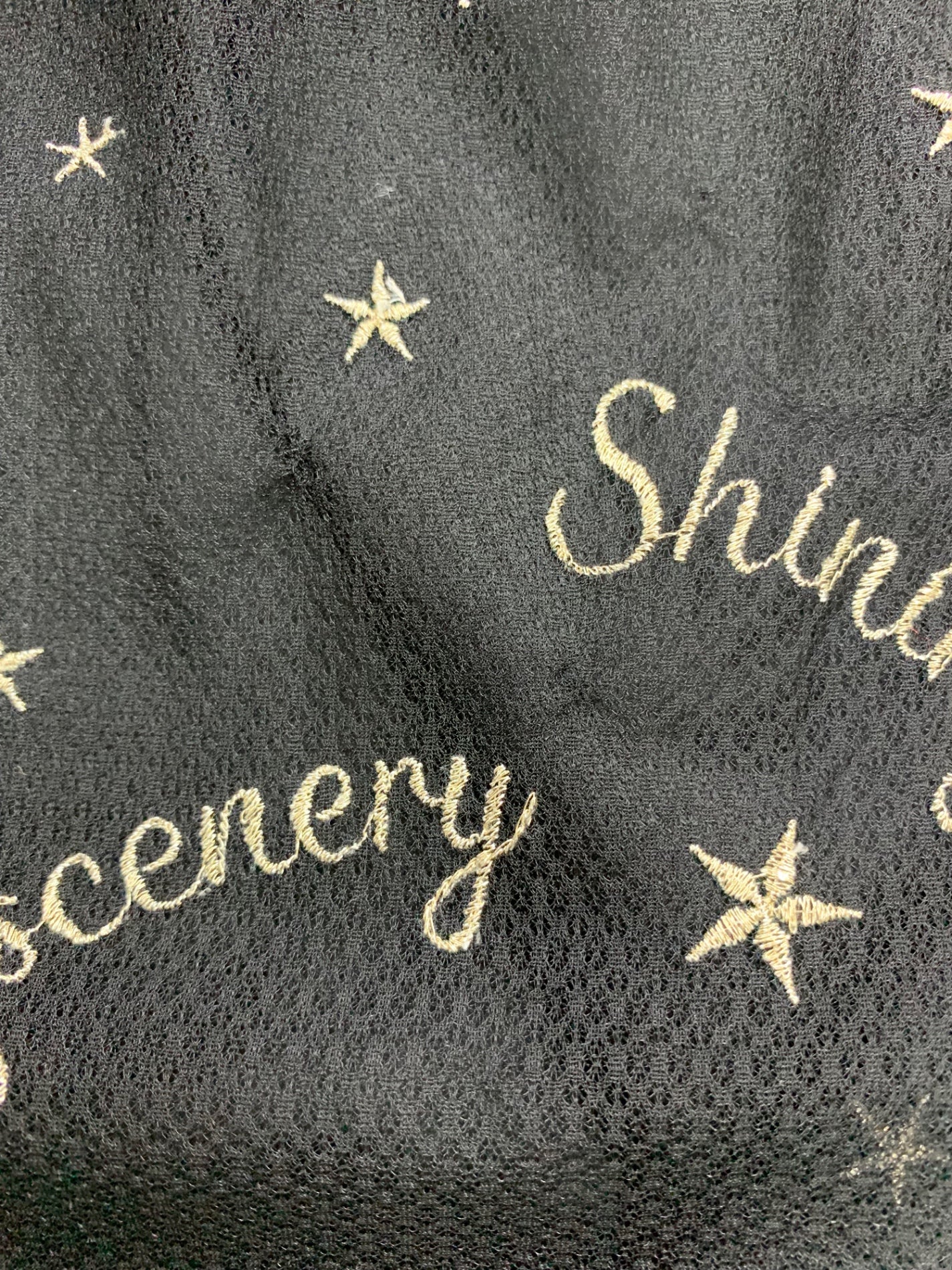 ダイアグラム 0322421198　 スカート 36 ブラック チュール  刺繍 星柄 ウエストゴム ITLJPLUSVFI8