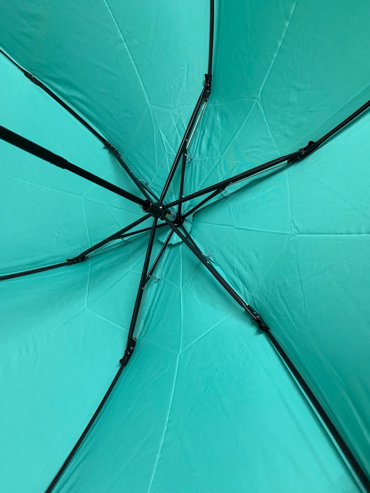 ヴィヴィアンウエストウッド 折りたたみ傘 グリーン 雨傘 ITRF4XRU74DQ