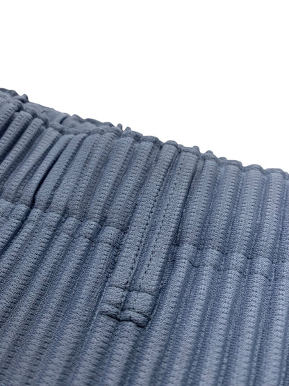 オムプリッセイッセイミヤケ HP43JD150 HP43JF152 セットアップ スーツ 3/2 ブルー テーラードジャケット パンツ IT46EVSMFJ5G