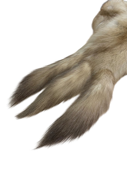 フォクシーブティック 30802 マフラー F ブラウン ロシアンセーブルファー IT0CMZ2CFK8J