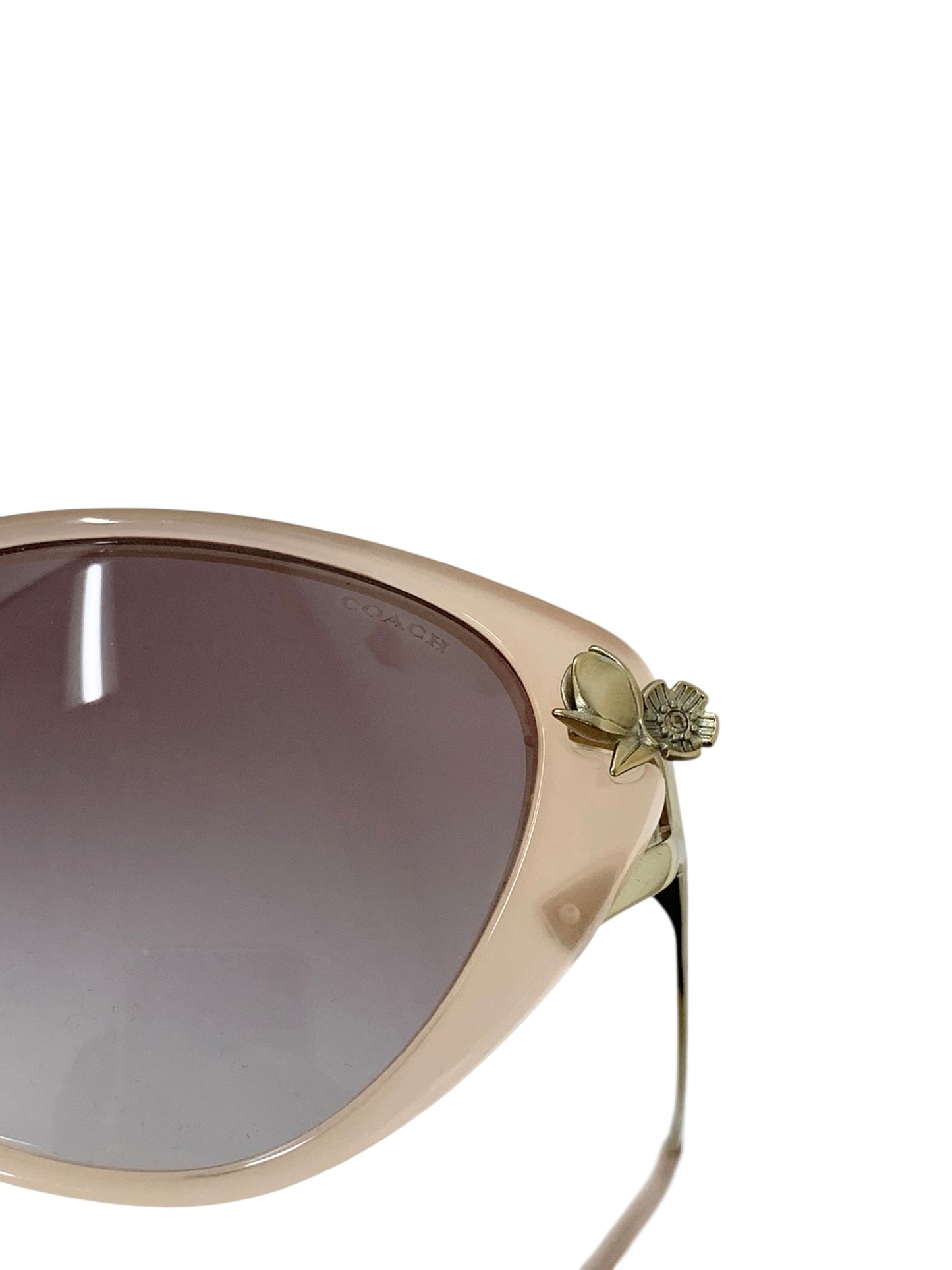 コーチ HC8242BF サングラス ピンク セルフレーム フルリム ウェリントン ITKDLAAE55JG 【SALE】