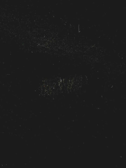 デイジーベロア by フォクシーニューヨーク 37578 ワンピース 40 ブラック ベロア ITXFSPFLWM36