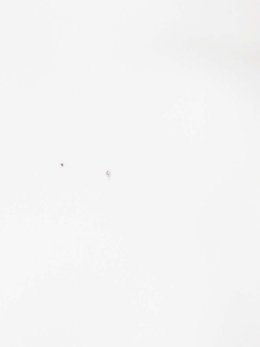 デイジーリン Photogenic Puff Blouse 06301 ブラウス 38 ホワイト ITLPI6YVB4C2