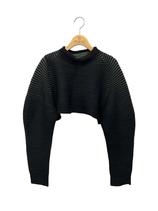 イッセイミヤケ IM43KKN258 ニット 2 ブラック ボトルネック クロップド ITPPG07GRSWM