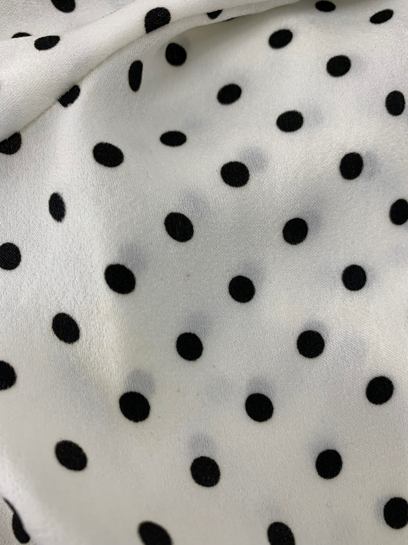 エムズグレイシー 810504 ブラウス 40 ホワイト ドット 水玉 パールボタン ITNFK39Y4J1C