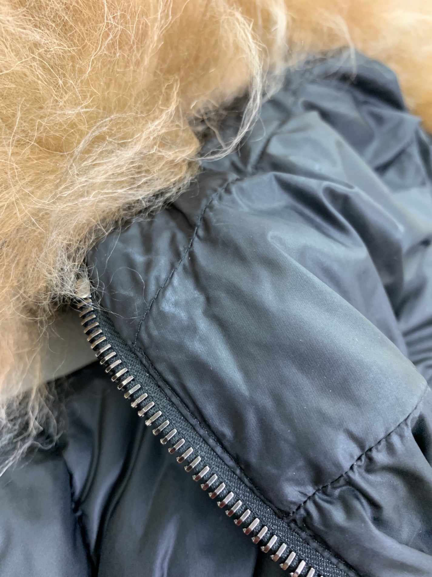 モンクレール BOED GIUBBOTTO BOED JACKET K20931A00099595FE ダウンジャケット ブラック ファー 3way IT8PENDQHNPI