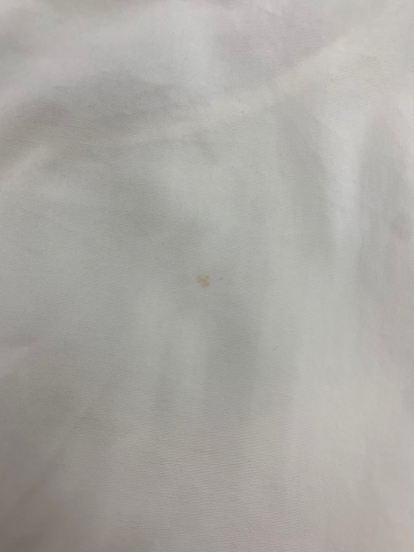 フォクシーブティック Rosetta ロゼッタ 45147 ブラウス 38 ホワイト フラワーレース IT3UVVBV3LL6