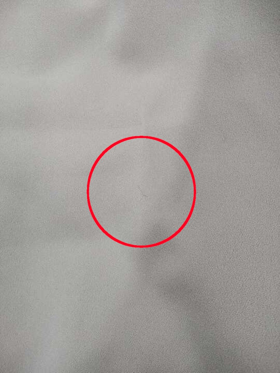 デイジーリン Dress Princeton 06722 ワンピース 40 ベージュ ITBQEKELSFMO